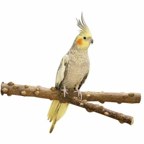 vogel sitzstange sitzast aus naturbelassenem pfefferholz y form ca 30 x 28 cm