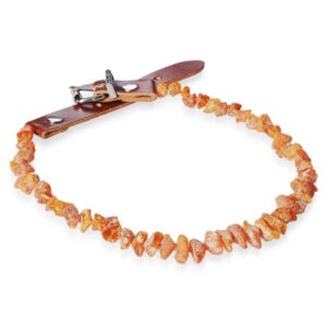 Bernsteinhalsband Bernsteinkette mit Lederverschluss für Hunde + Katzen 40-44 cm