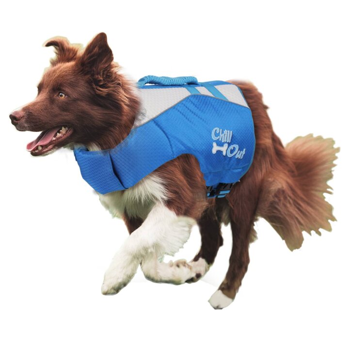 Rettungsweste Schwimmhilfe für Hund Chill Out - Dog Life Jacket - Größe M 1 Rettungsweste Schwimmhilfe für Hund Chill Out - Dog Life Jacket - Größe M