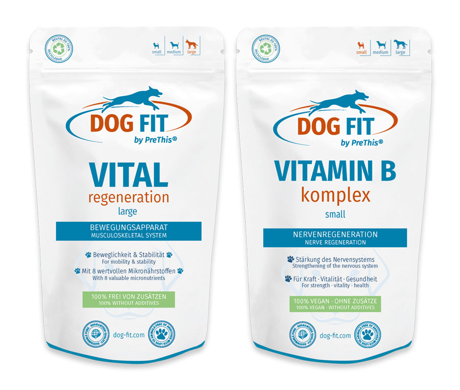 Wirbelsäule & Nerven Set für große Hunde ab 25kg | VITAL regeneration & VITAMIN B mit Biotin | DOG FIT by PreThis | 120 Kps. 1 Wirbelsäule & Nerven Set für große Hunde ab 25kg | VITAL regeneration & VITAMIN B mit Biotin | DOG FIT by PreThis | 120 Kps.