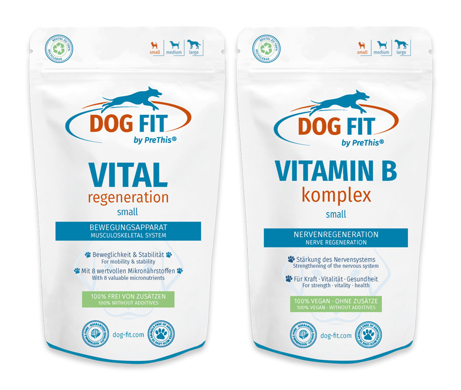 Bandscheiben, Nerven & Bänder Set Hunde | VITAL regeneration & VITAMIN B | Wirbelsäule & Läufe | DOG FIT by PreThis | small < 10kg | 120 Kapseln 1 Bandscheiben, Nerven & Bänder Set Hunde | VITAL regeneration & VITAMIN B | Wirbelsäule & Läufe | DOG FIT by PreThis | small < 10kg | 120 Kapseln